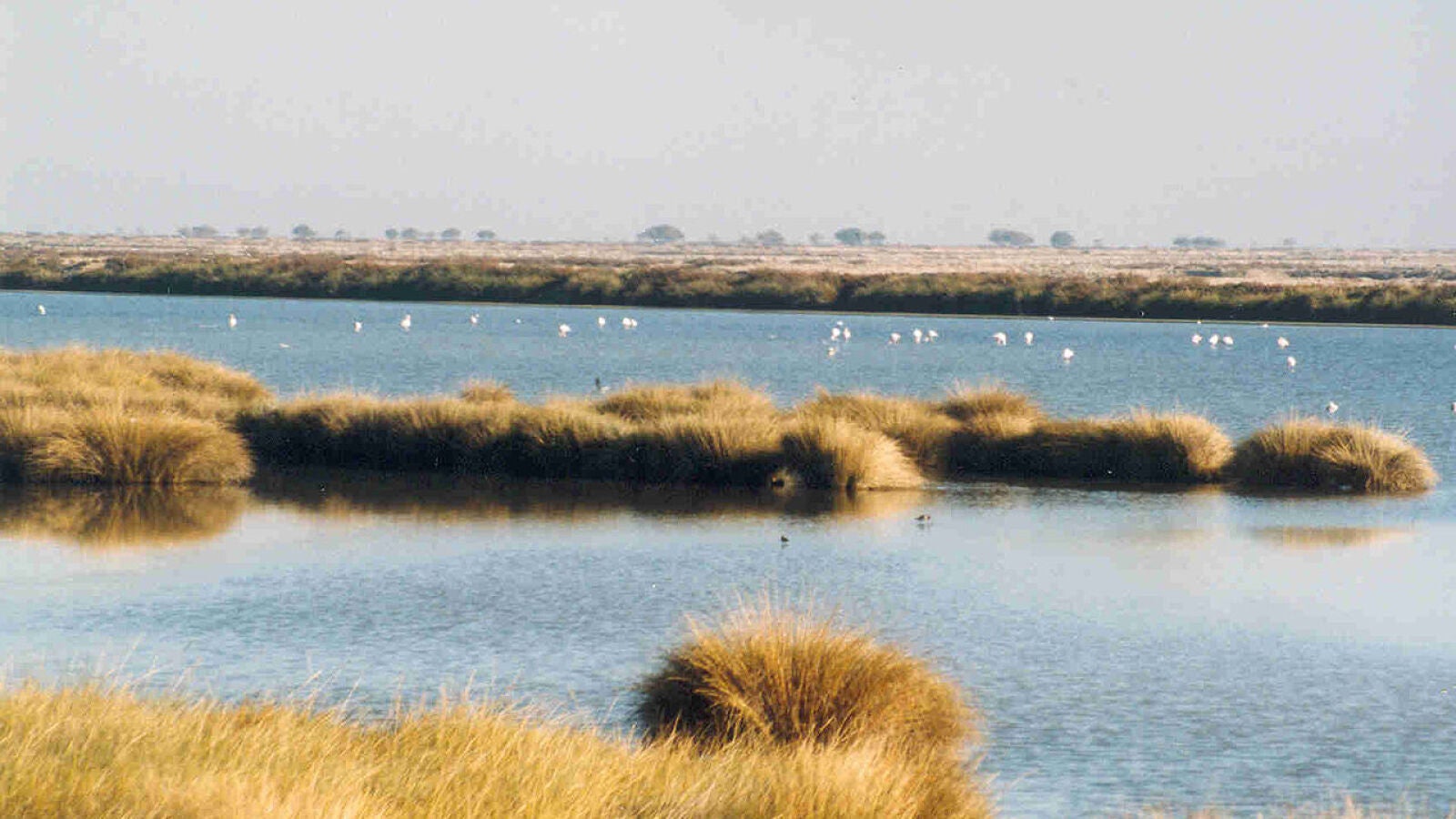 La sequía debilita los humedales y azota los campos de cultivo