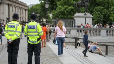 Muere una niña de 17 meses por la agresión de su perro en Inglaterra