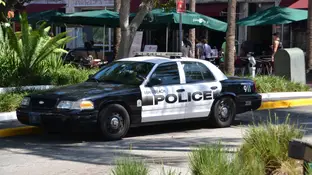 Policía de Miami Policía de Miami