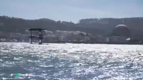 Colisiones y hasta una ballena, la caótica última prueba de la temporada de Sail GP Colisiones y hasta una ballena, la caótica última prueba de la temporada de Sail GP