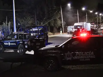 Al menos 19 muertos tras una matanza durante una pelea ilegal de gallos en México Al menos 19 muertos tras una matanza durante una pelea ilegal de gallos en México