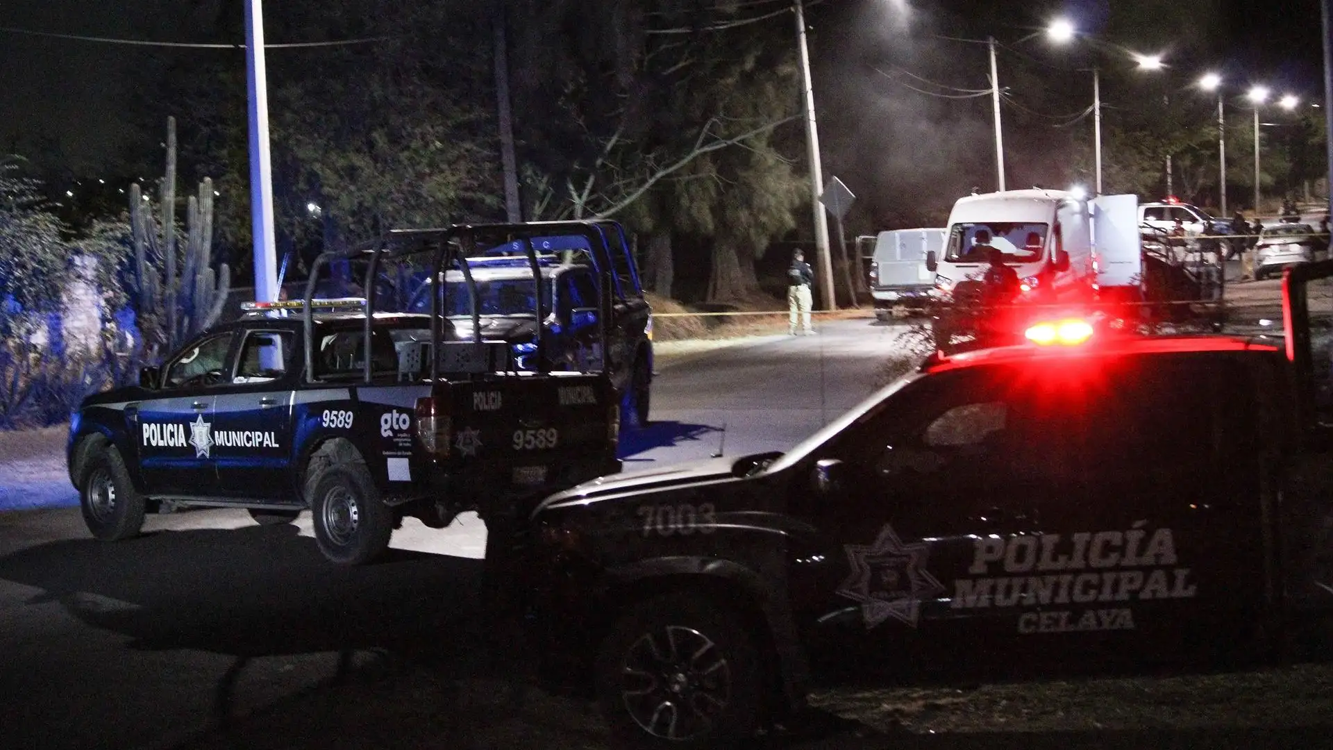 Al menos 19 muertos tras una matanza durante una pelea ilegal de gallos en México Al menos 19 muertos tras una matanza durante una pelea ilegal de gallos en México