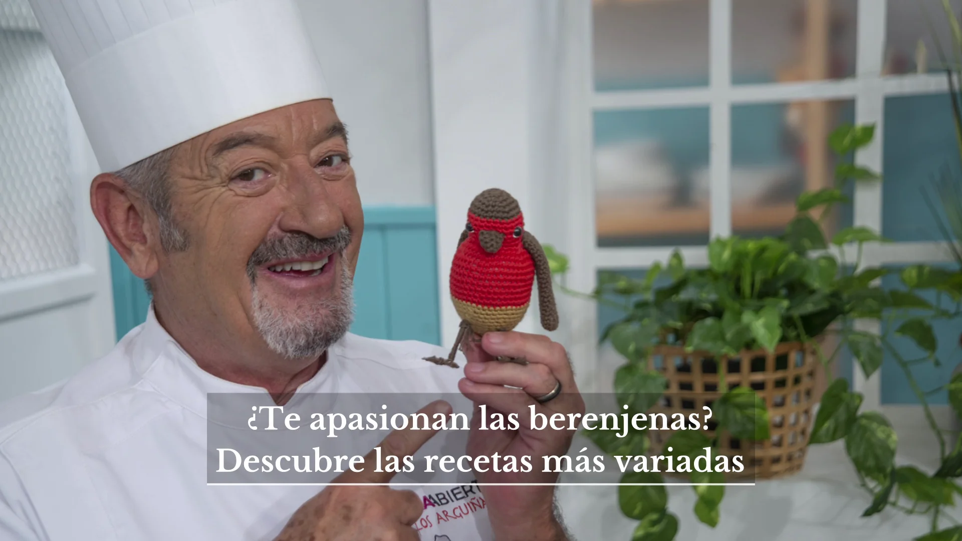 ¿Te apasionan las berenjenas? Disfruta de las recetas más ricas, rápidas y fáciles de Arguiñano ¿Te apasionan las berenjenas? Disfruta de las recetas más ricas, rápidas y fáciles de Arguiñano