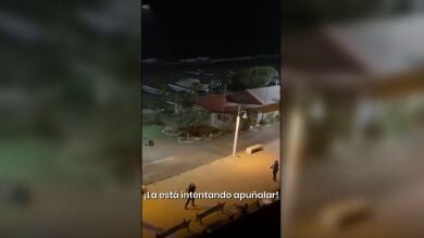 El vídeo de cómo la Guardia Civil reduce a tiros a un presunto maltratador en Málaga