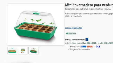 Mini invernadero de Lidl Mini invernadero de Lidl