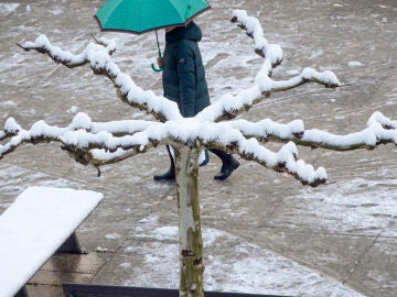 A3 Noticias Fin de Semana (03-04-22) El temporal deja nieve y heladas en las montañas de la mitad norte e importantes daños en los frutales de Lleida