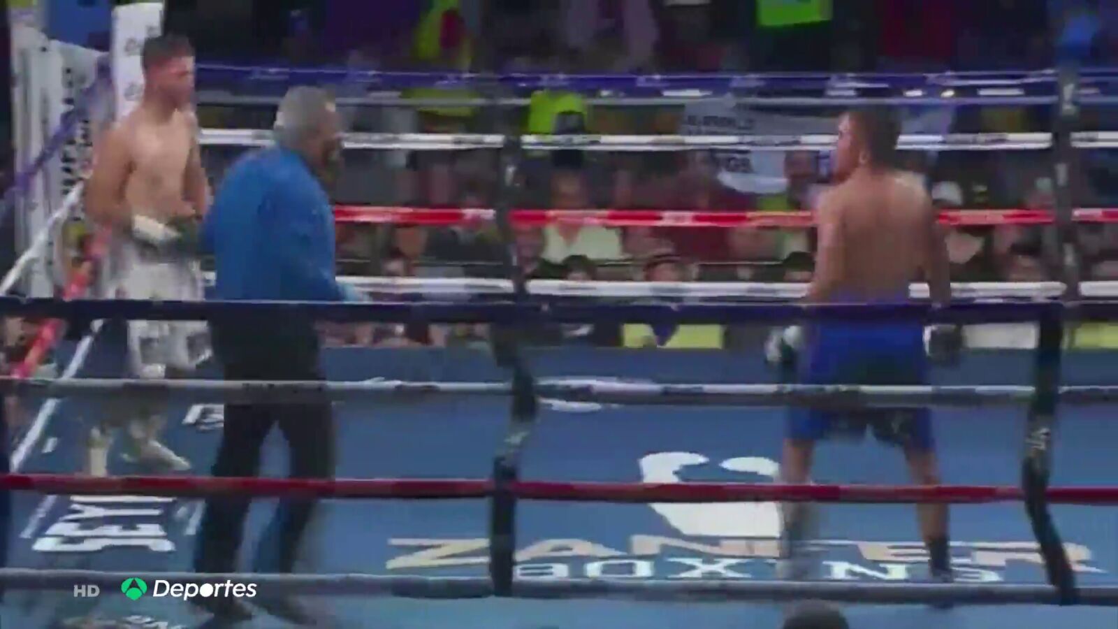Un árbitro de boxeo acaba desalojado en camilla tras recibir un puñetazo involuntario