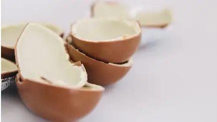 Chocolate Chocolate