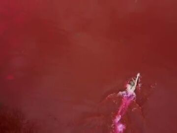 La campeona olímpica Ruta Meilutyte nada 'en sangre' frente a la Embajada rusa