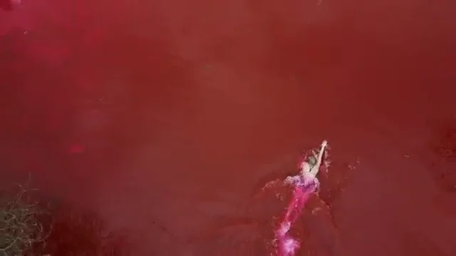 La campeona olímpica Ruta Meilutyte nada 'en sangre' frente a la Embajada rusa La campeona olímpica Ruta Meilutyte nada 'en sangre' frente a la Embajada rusa