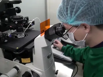 Científico chino Científico chino