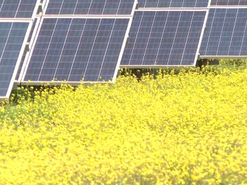 Placas solares en el campo en España
