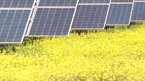 Placas solares en el campo en España Placas solares en el campo en España