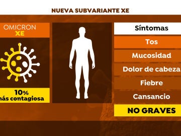 Estos son los síntomas de la nueva variante XE del coronavirus