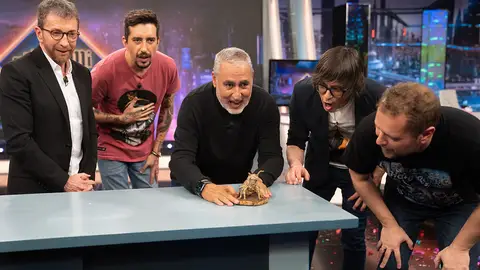 Colección Jorge Salvador Colección Jorge Salvador