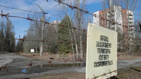 Restablecido el contacto entre Chernóbil y el regulador nacional ucraniano tras la ocupación rusa Restablecido el contacto entre Chernóbil y el regulador nacional ucraniano tras la ocupación rusa