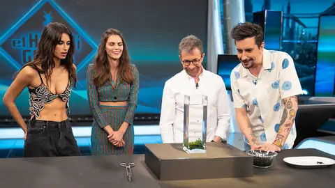 ¡Vuelven a la vida! Marron recrea “la resurrección de las algas” en ‘El Hormiguero 3.0’ Ciencia con Marron