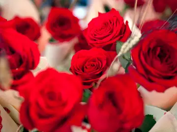 ¿Qué significa la rosa de Sant Jordi? ¿Qué significa la rosa de Sant Jordi?