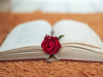 Las mejores frases y dedicatorias para Sant Jordi 2022 Las mejores frases y dedicatorias para Sant Jordi 2022