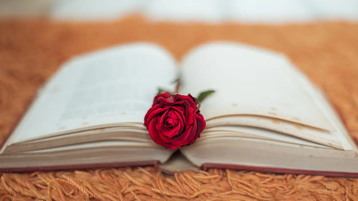 Las mejores frases y dedicatorias para Sant Jordi 2022 Las mejores frases y dedicatorias para Sant Jordi 2022