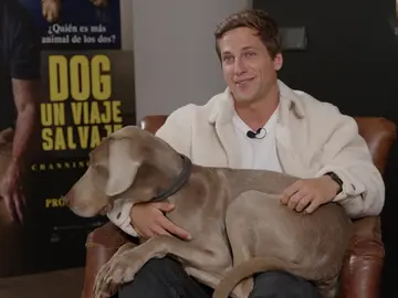 Asistimos al preestreno de 'Dog. Un viaje salvaje', ¡rodeados de perros 'influencers'! Asistimos al preestreno de 'Dog. Un viaje salvaje', ¡rodeados de perros 'influencers'!