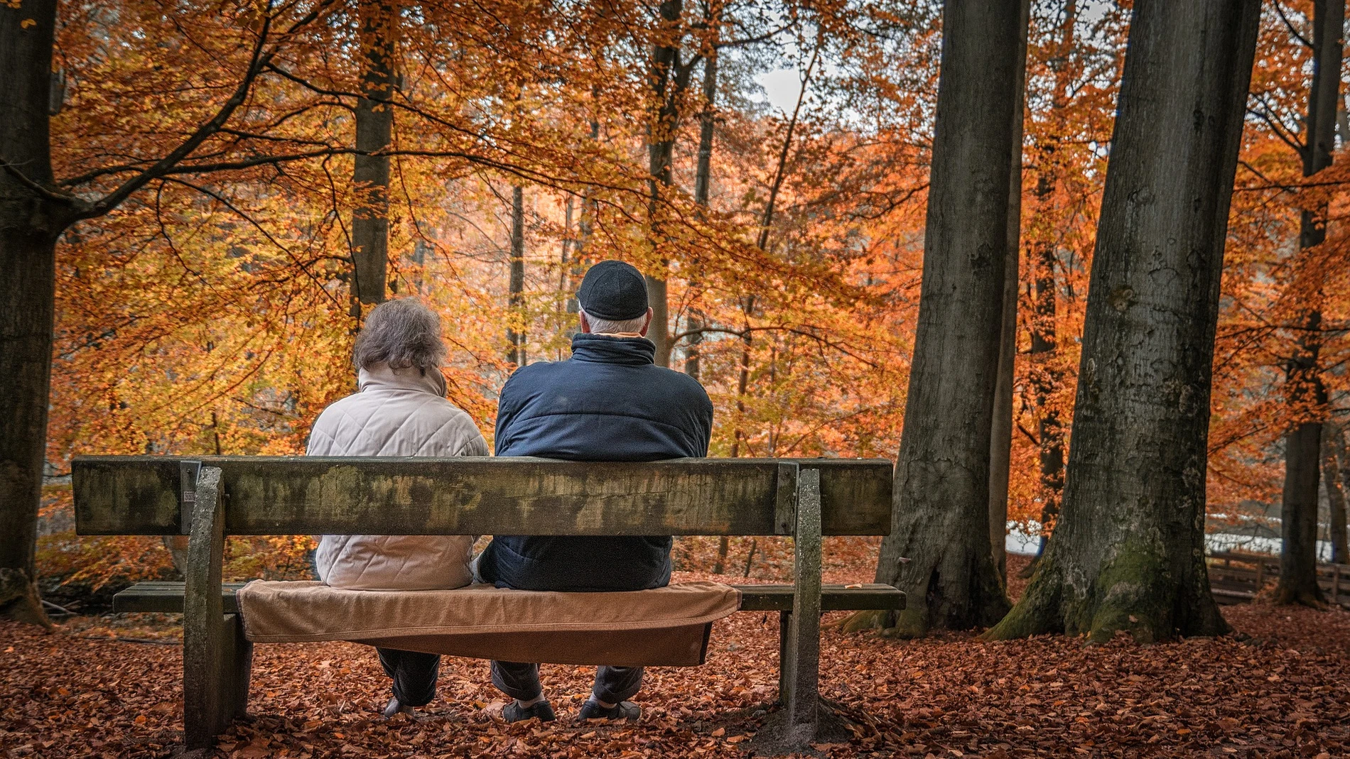 Imagen de archivo de dos personas de espaldas sentadas en un banco