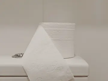 Cómo conseguir que tu caca no huela Cómo conseguir que tu caca no huela