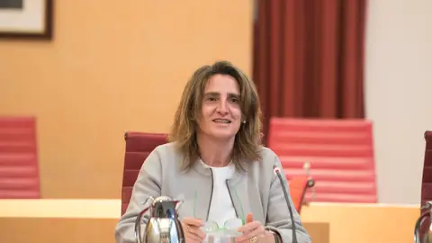 La ministra para la Transición Ecológica y el Reto Demográfico, Teresa Ribera La ministra para la Transición Ecológica y el Reto Demográfico, Teresa Ribera