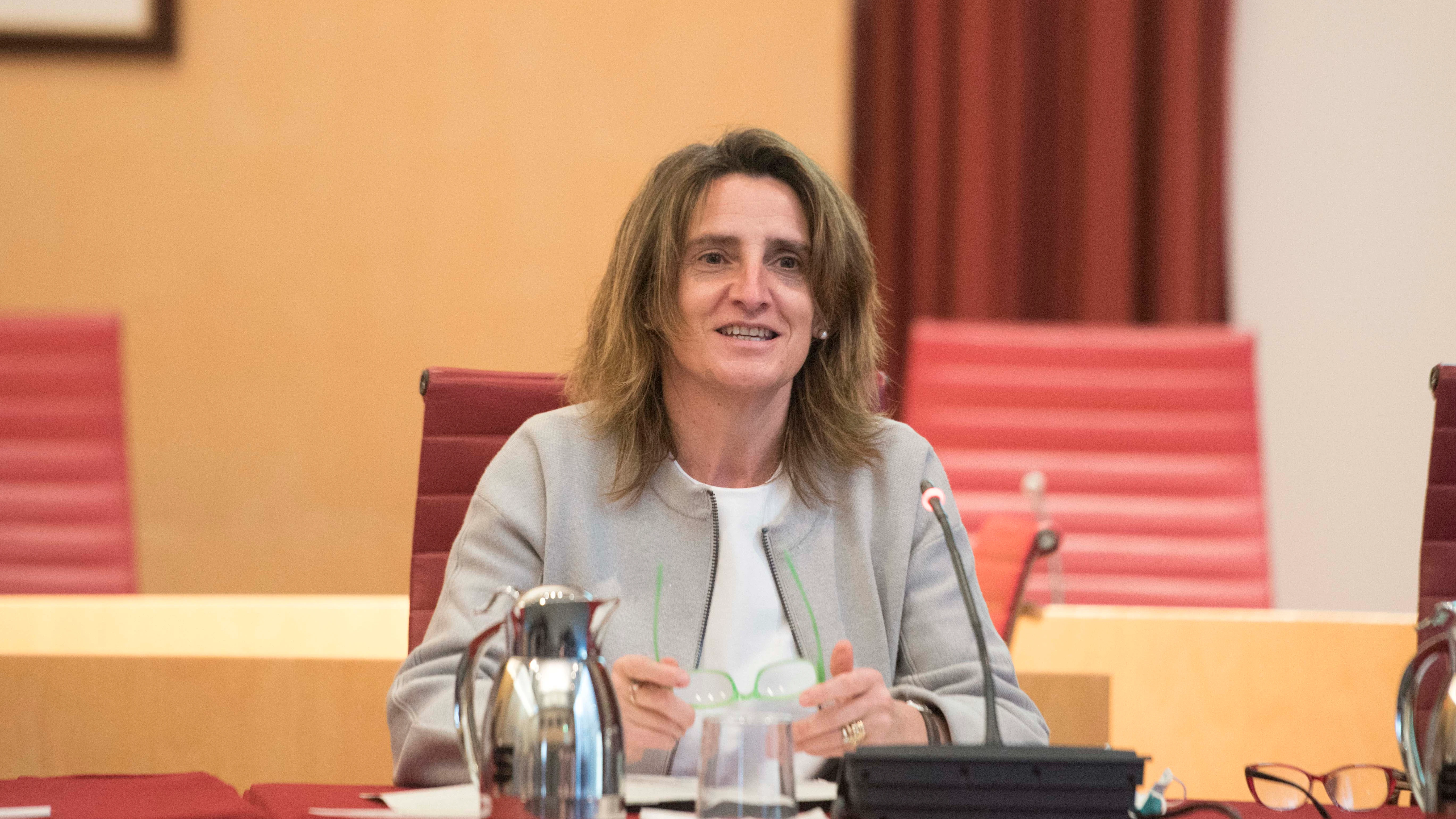 La ministra para la Transición Ecológica y el Reto Demográfico, Teresa Ribera La ministra para la Transición Ecológica y el Reto Demográfico, Teresa Ribera