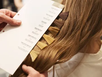 Paleta de colores para tinte Paleta de colores para tinte