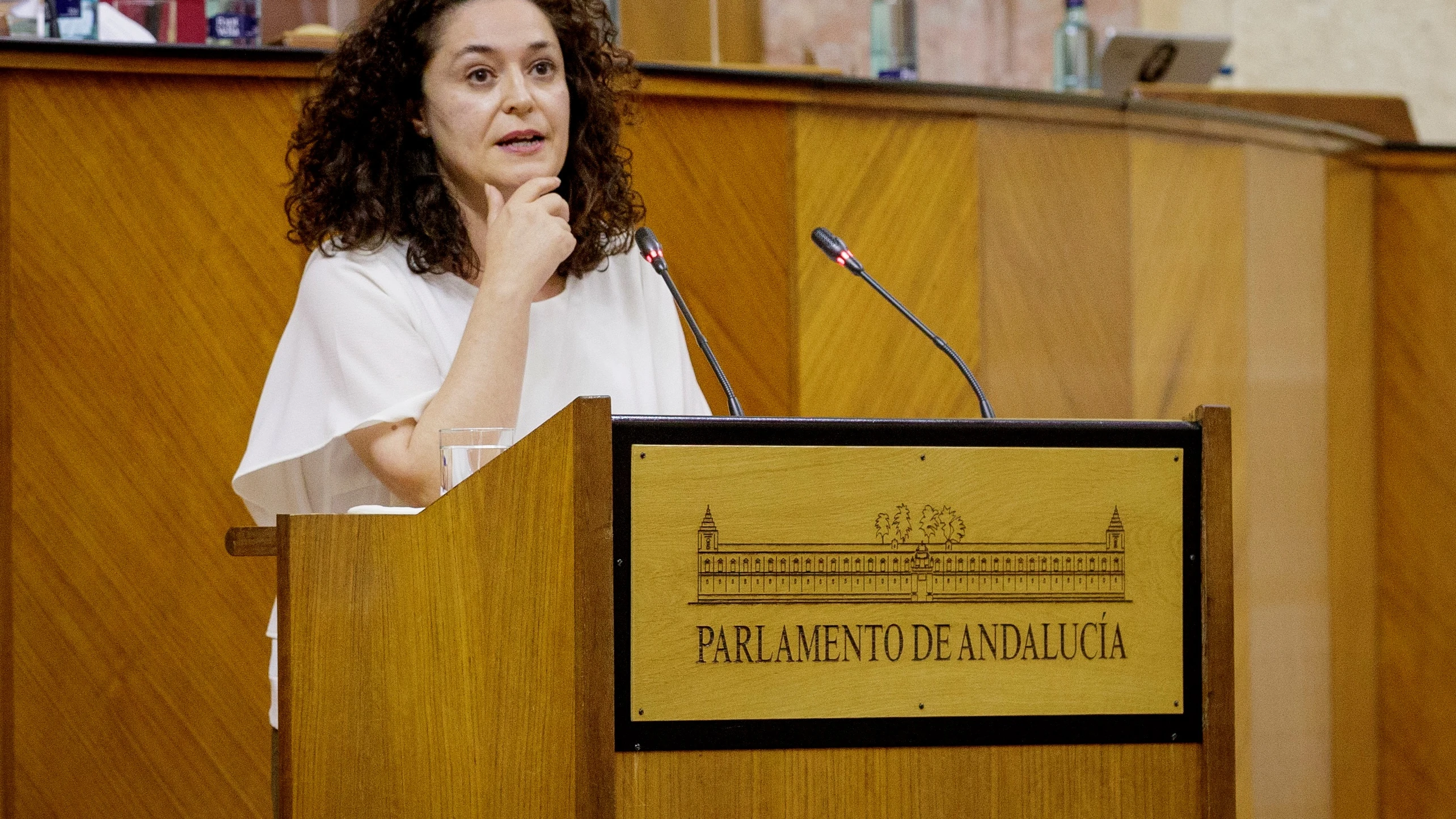 La candidata a la Junta de Andalucia de Por Andalucía, Inmaculada Nieto La candidata a la Junta de Andalucia de Por Andalucía, Inmaculada Nieto