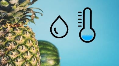 ¿Qué alimentos calientan el cuerpo y cuáles lo enfrían?