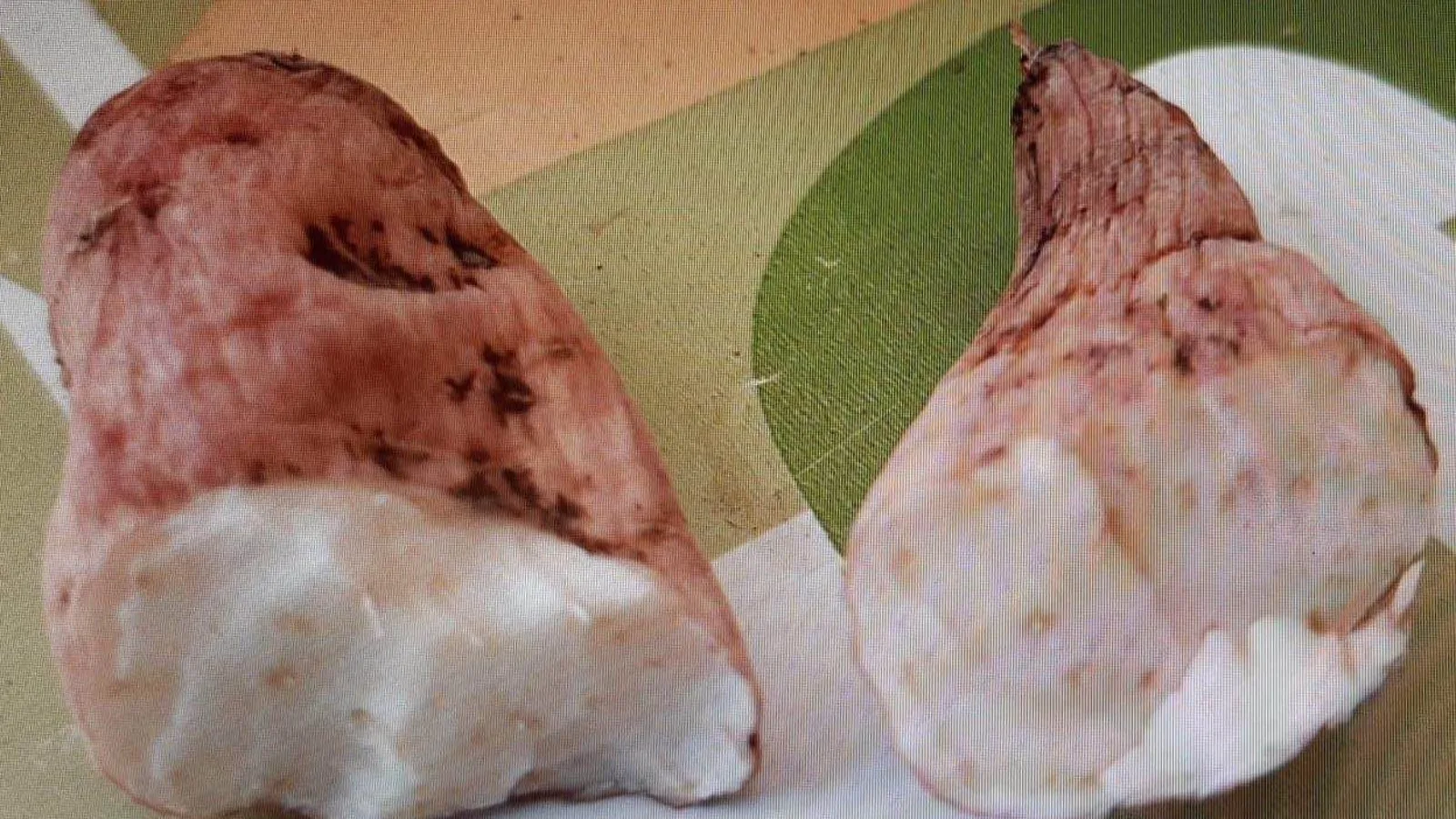muere un hombre al comer nabo del diablo