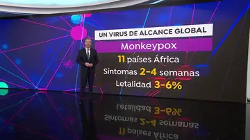 Los síntomas de la viruela del mono pueden durar hasta cuatro semanas