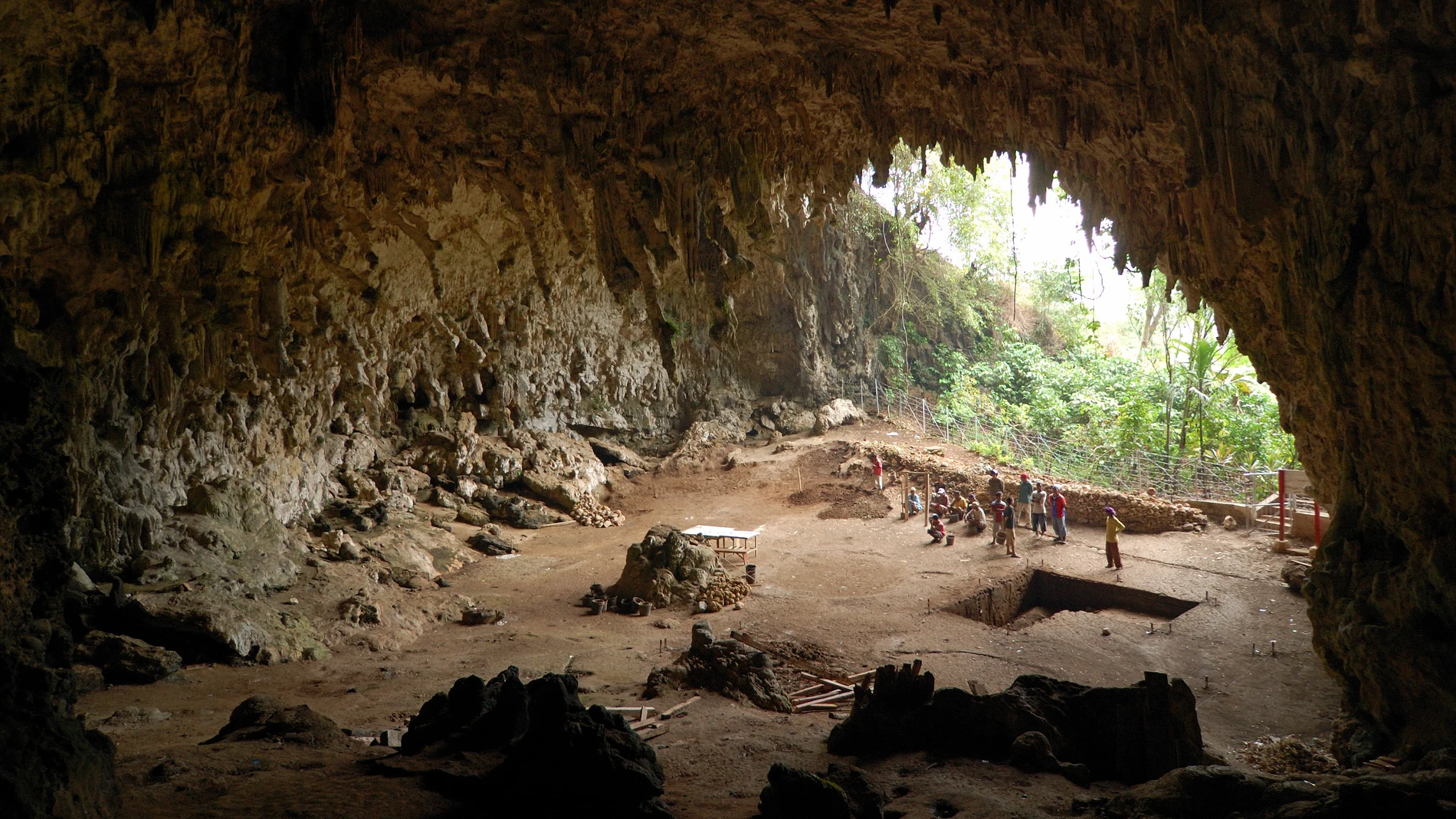 El antepasado Homo floresiensis o 'Hobbit' podría estar vivo en Indonesia