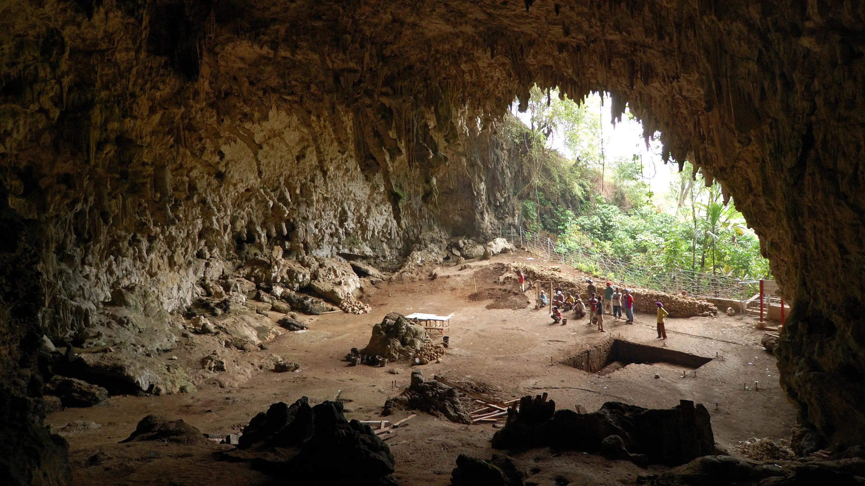 Lugar del descubrimiento del Homo floresiensis Lugar del descubrimiento del Homo floresiensis