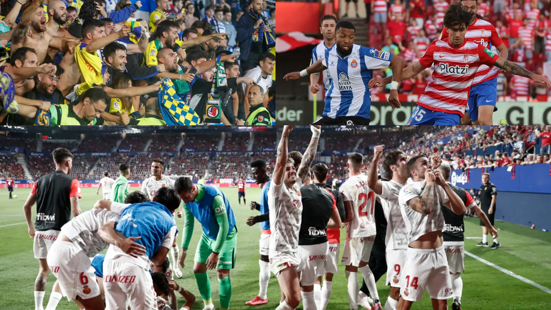 Liga unificada