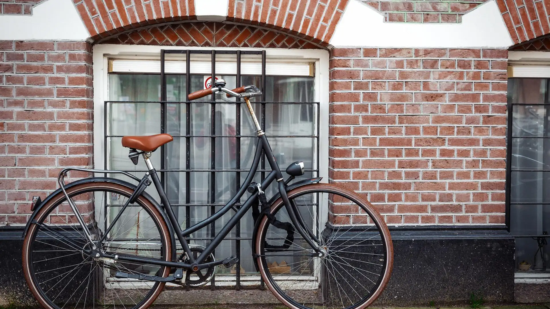Día Mundial de la Bicicleta Día Mundial de la Bicicleta