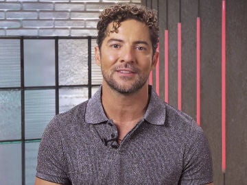 El punto fuerte del equipo de David Bisbal: "La experiencia"