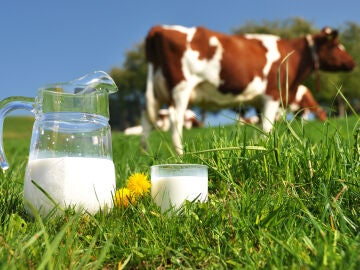 ¿Quién fabrica la leche de Día, Lidl, Mercadona, Alcampo o Carrefour?