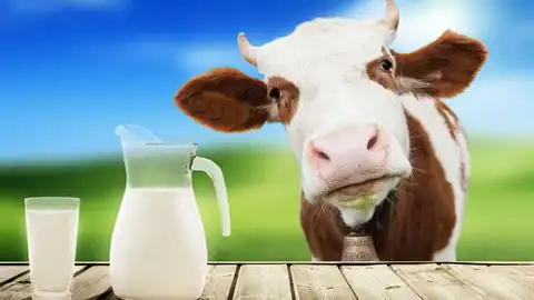 Efemérides de hoy 1 de junio de 2022: se celebra en todo el mundo, el Día Mundial de la Leche. Efemérides