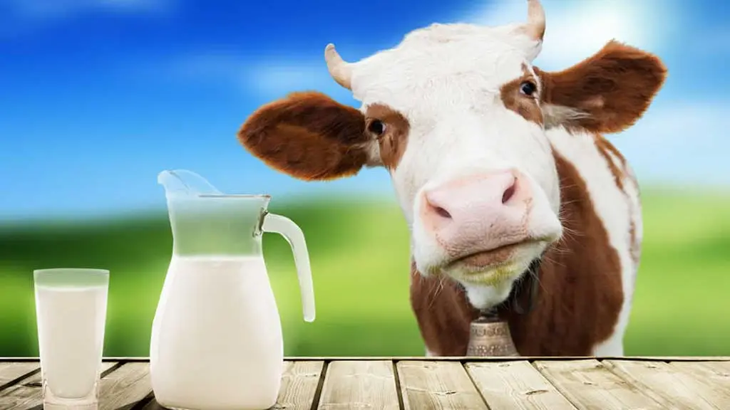 Efemérides de hoy 1 de junio de 2022: se celebra en todo el mundo, el Día Mundial de la Leche. Efemérides