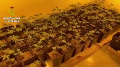 Hallan el cadáver de un vecino de A Coruña en su vivienda y sale a la luz una plantación de marihuana