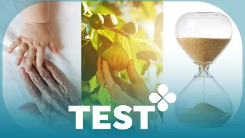 Test: ¿Qué significa la expresión de 'higos a brevas'? Test: ¿Qué significa la expresión de 'higos a brevas'?