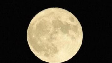 Luna llena