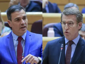 El primer duelo dialéctico de Sánchez y Feijóo El primer duelo dialéctico de Sánchez y Feijóo