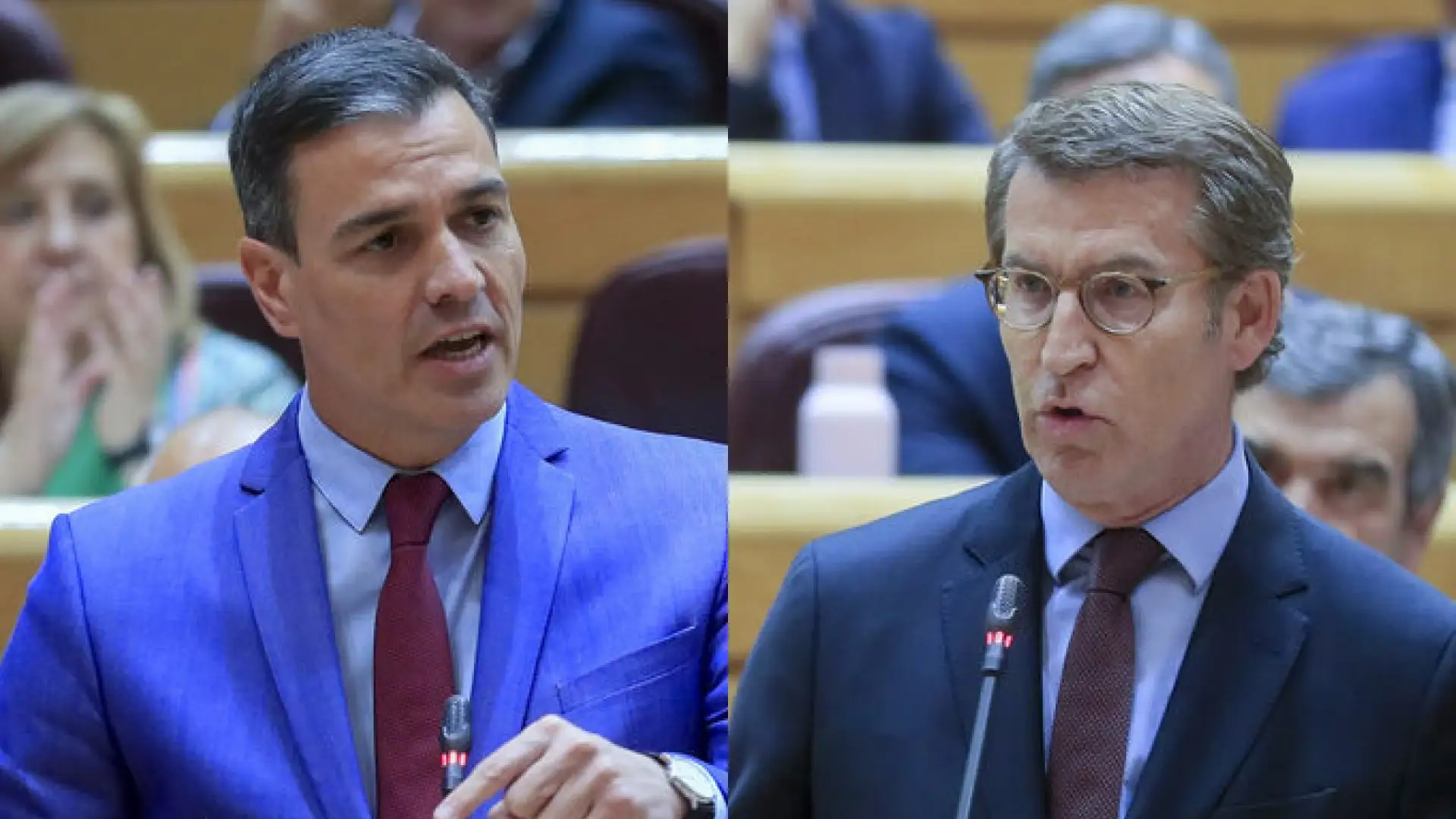 El primer duelo dial&eacute;ctico de S&aacute;nchez y Feij&oacute;o