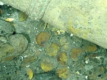 Nuevas imágenes muestran los tesoros ocultos del galeón San José