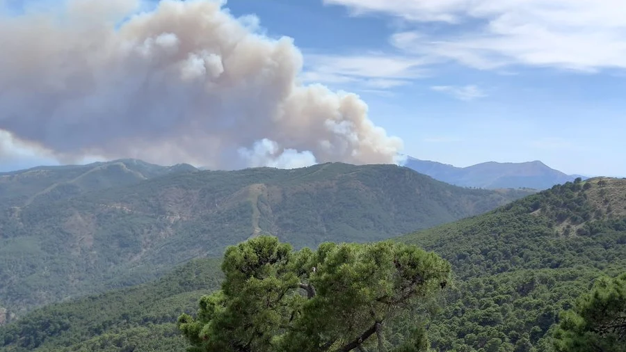 Un incendio en Pujerra enciende todas las alarmas