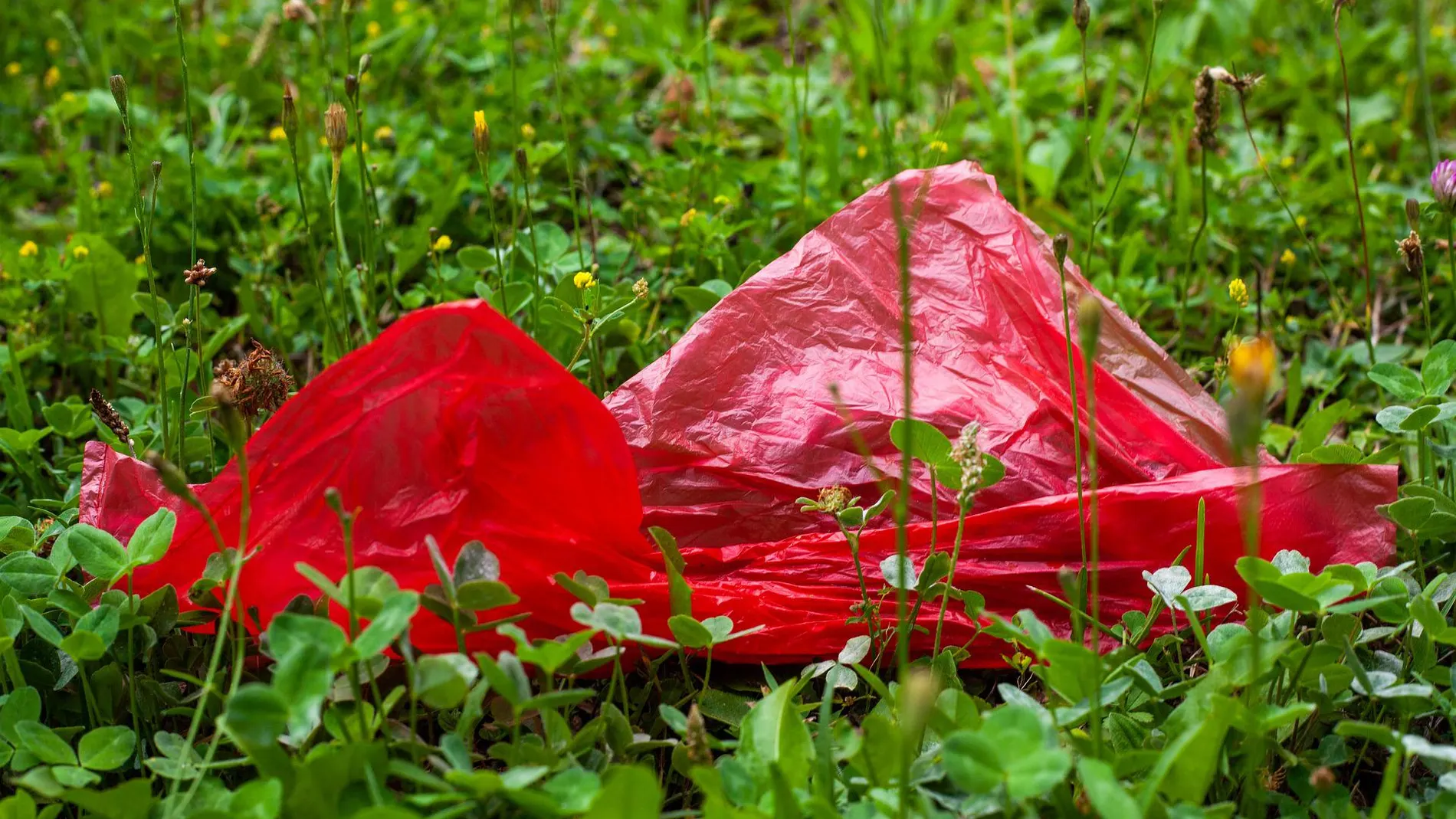 Una bolsa de plástico 